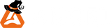 ANCEL logo